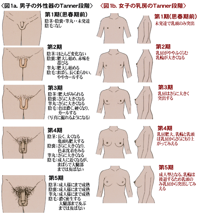 小児の成長障害