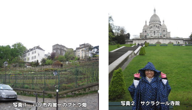 写真1・2