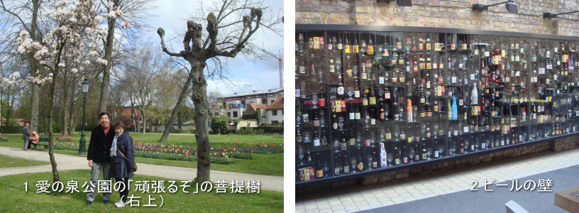 写真1・2