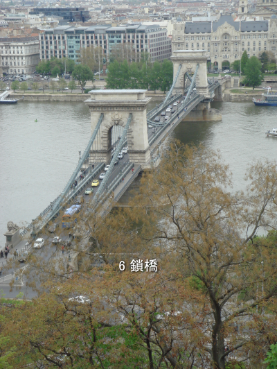 写真6