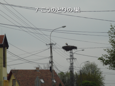 写真7