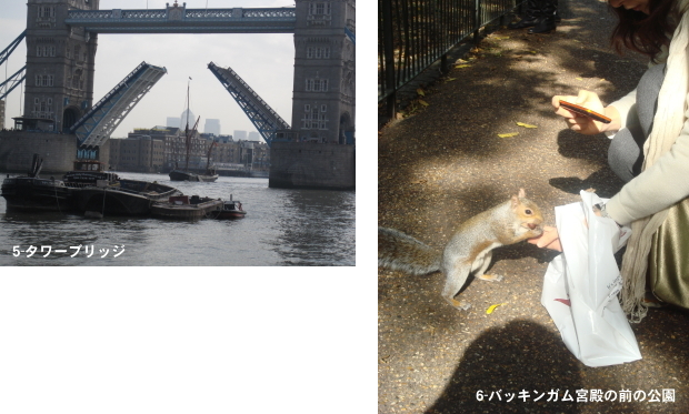 写真5・6